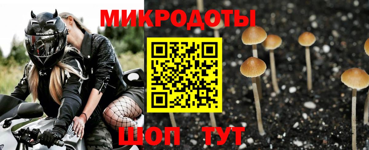 Ставрополь  Галлюциногенные грибы мухоморы  Вход с VPN 